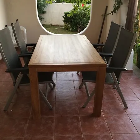 فيلة B16 *